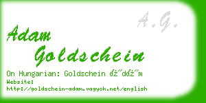 adam goldschein business card